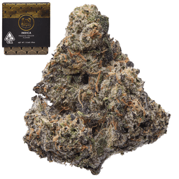 Premium-Maven Genetics-Prizm-image-1
