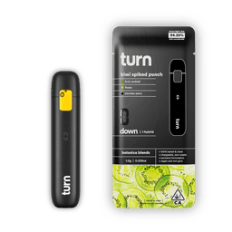 All-in-One-turn-Kiwi Spiked Punch All-In-One-image-1