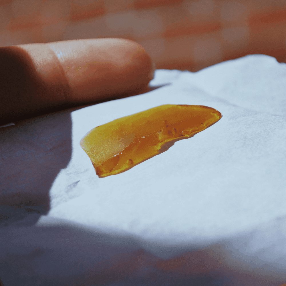 cannabis shatter