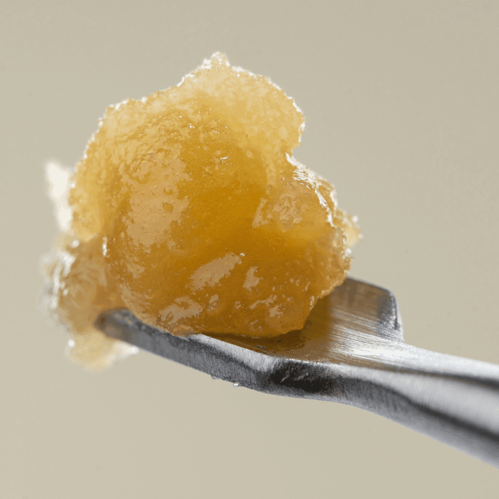 Cannabis Concentrates, Explained