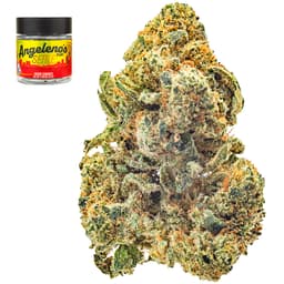 Premium-Angeleno's-Winter Frost-image-1