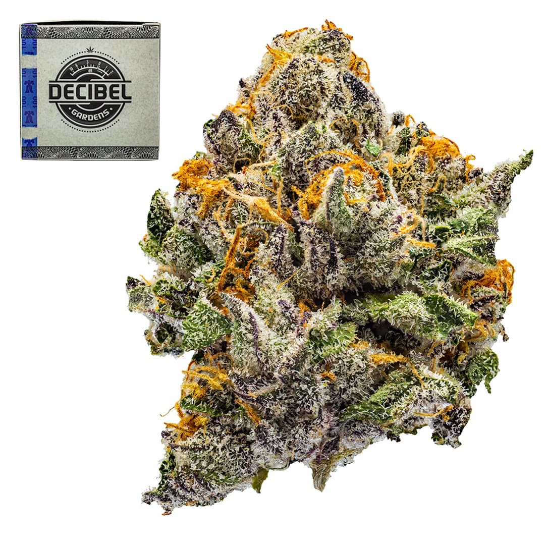 Premium-Decibel Gardens-C-Note