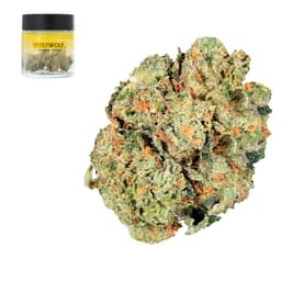 Premium-Hyperwolf-Lemon Headband-image-1