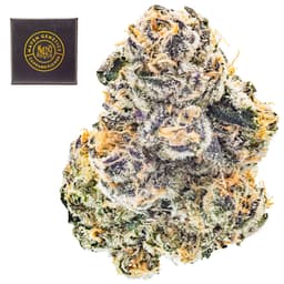 Premium-Maven Genetics-New Money-image-1