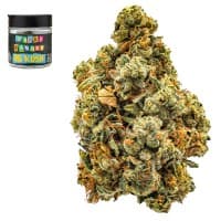 Premium-Stilo Supply-Afghani Kush