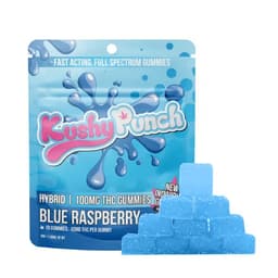 Gummies-Kushy Punch-Blue Raspberry Gummies-image-1