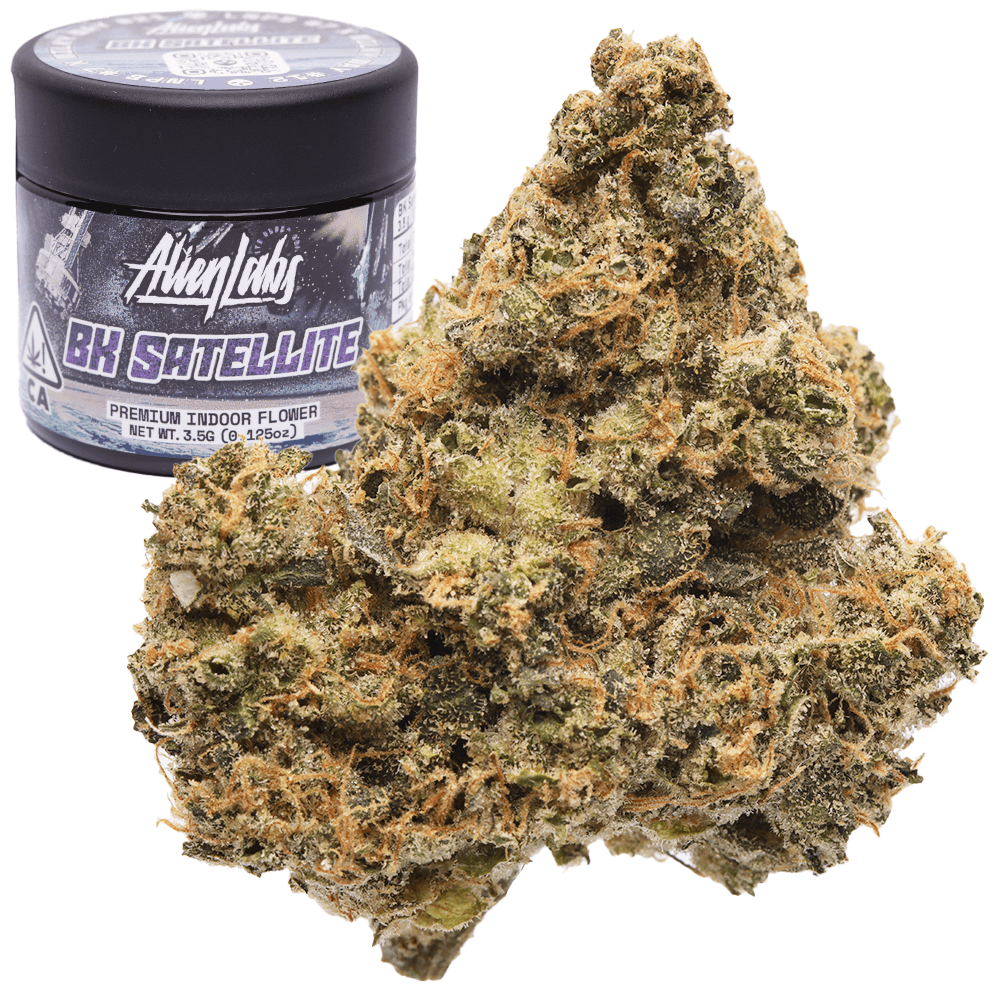 Premium-Alien Labs-BK Satellite