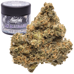 Premium-Alien Labs-BK Satellite-image-1