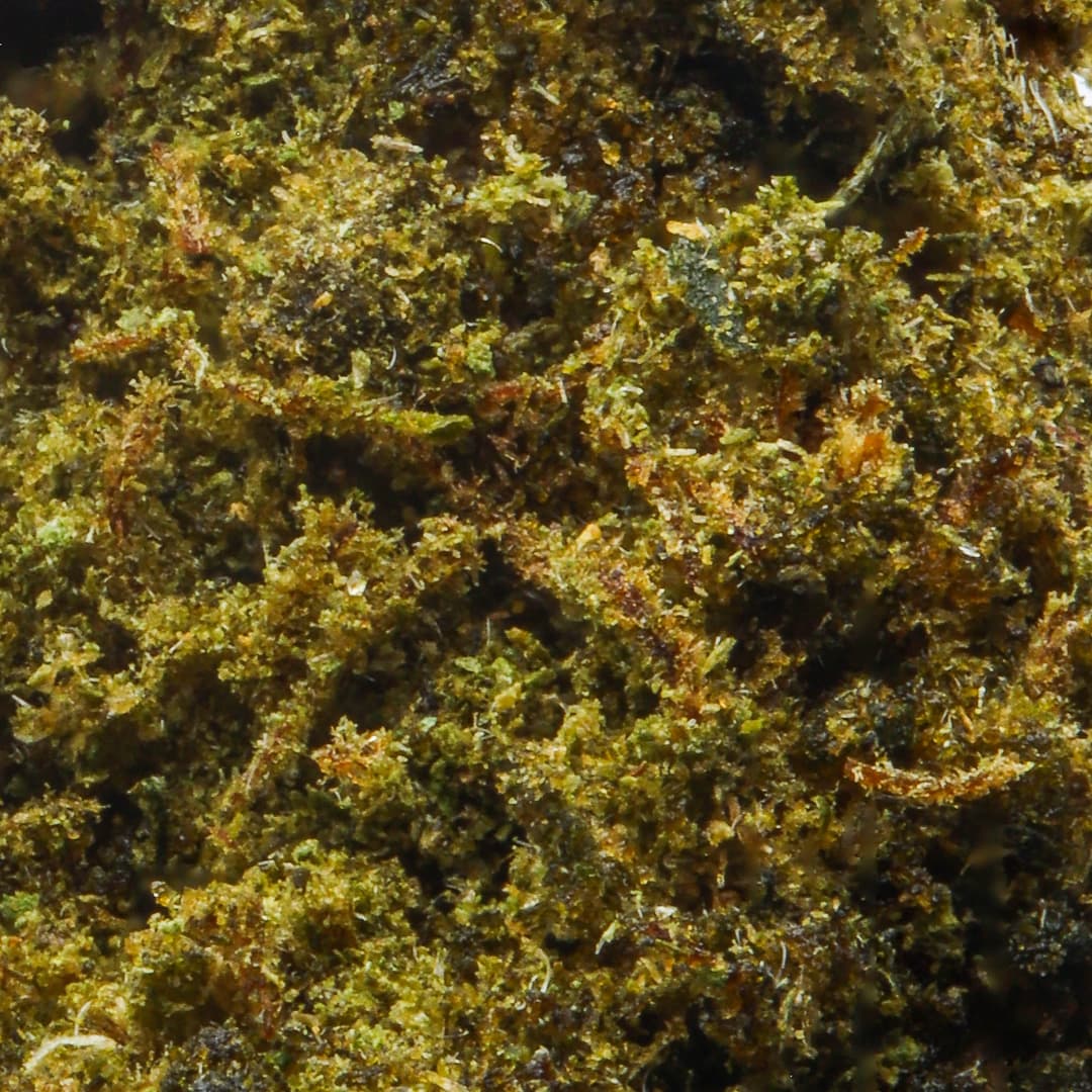 Budget Friendly - Eighth Brother - Durban Lime Quarter Ounce - image-2