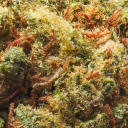 Smaller Buds-Eighth Brother-Maui Waui Smalls-image-2