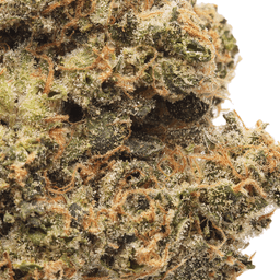 Premium-Alien Labs-BK Satellite-image-2