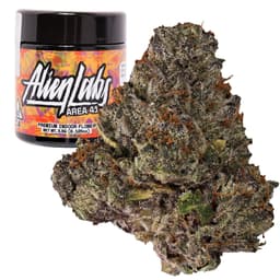 Premium-Alien Labs-Area 41-image-1