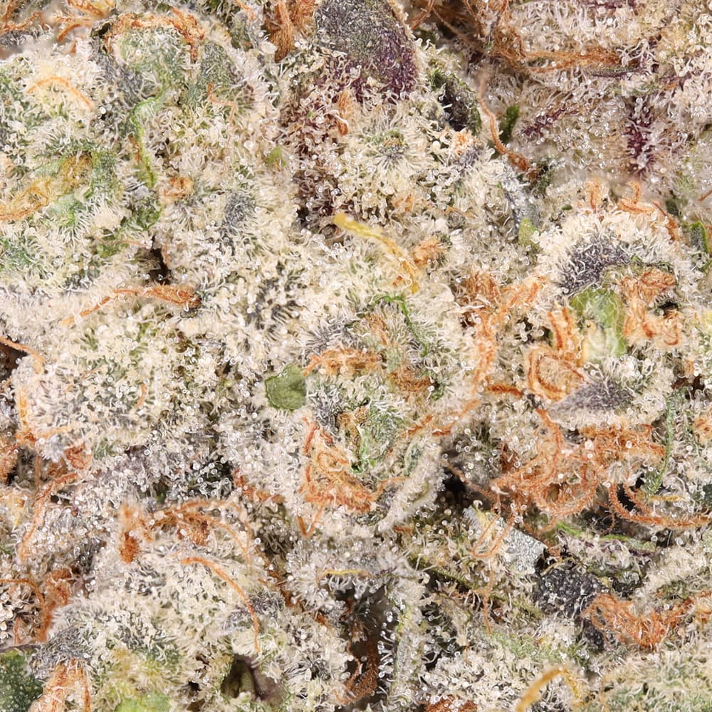 Premium - Alien Labs - Atomic Apple - image-2