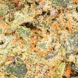 Premium-Angeleno's-Mochi-image-2