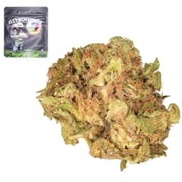 Budget Friendly-Astronauts-Space Belts-image-1