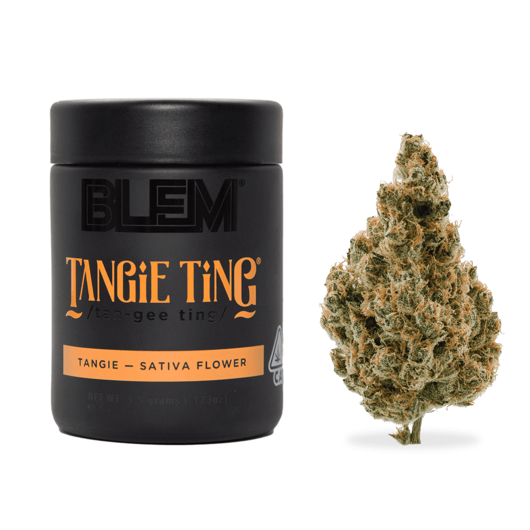 Premium-Blem-Tangie Ting