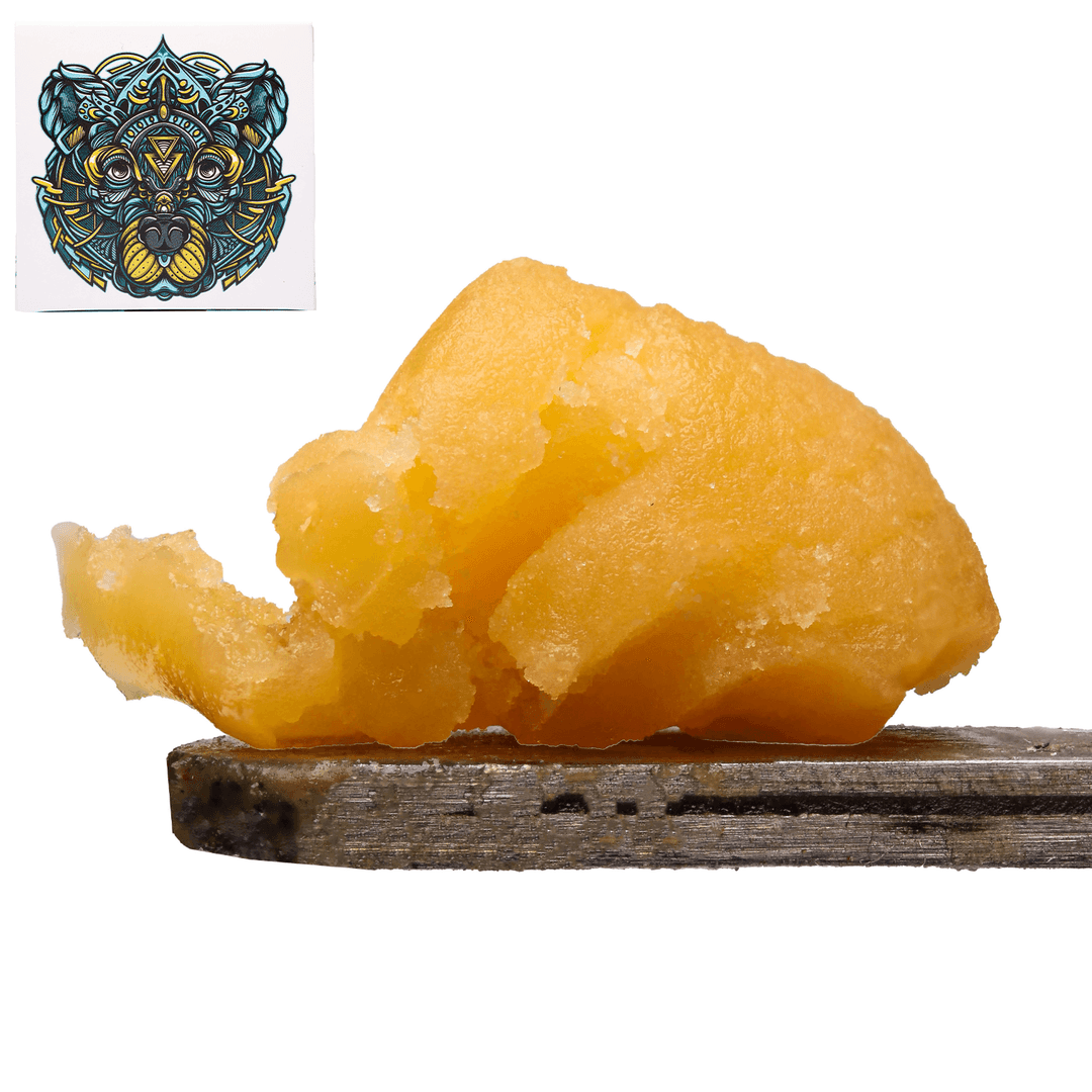 Budder / Badder-Bear Labs-GMO