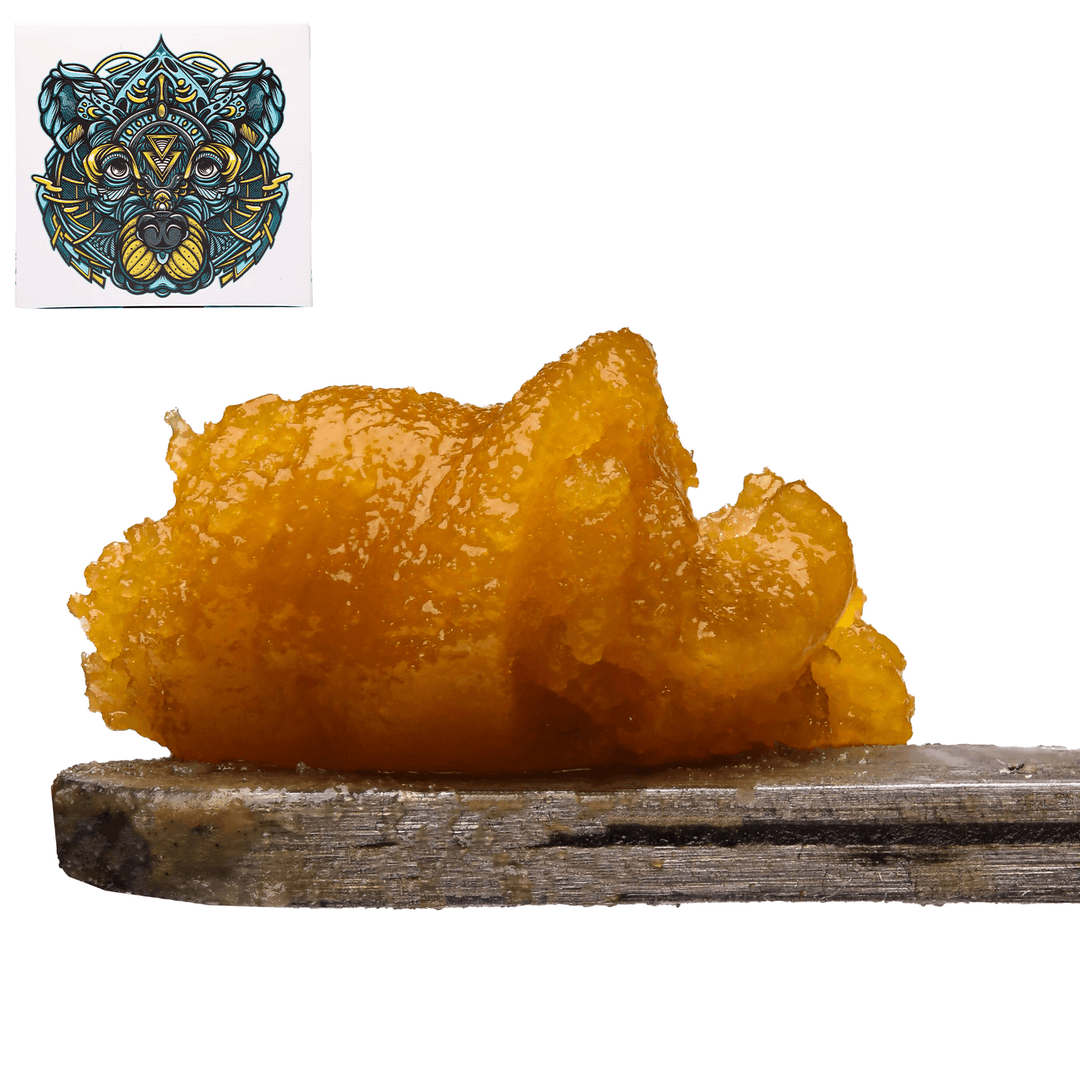 Budder / Badder-Bear Labs-Jack x Slurty 3 Live Resin Budder