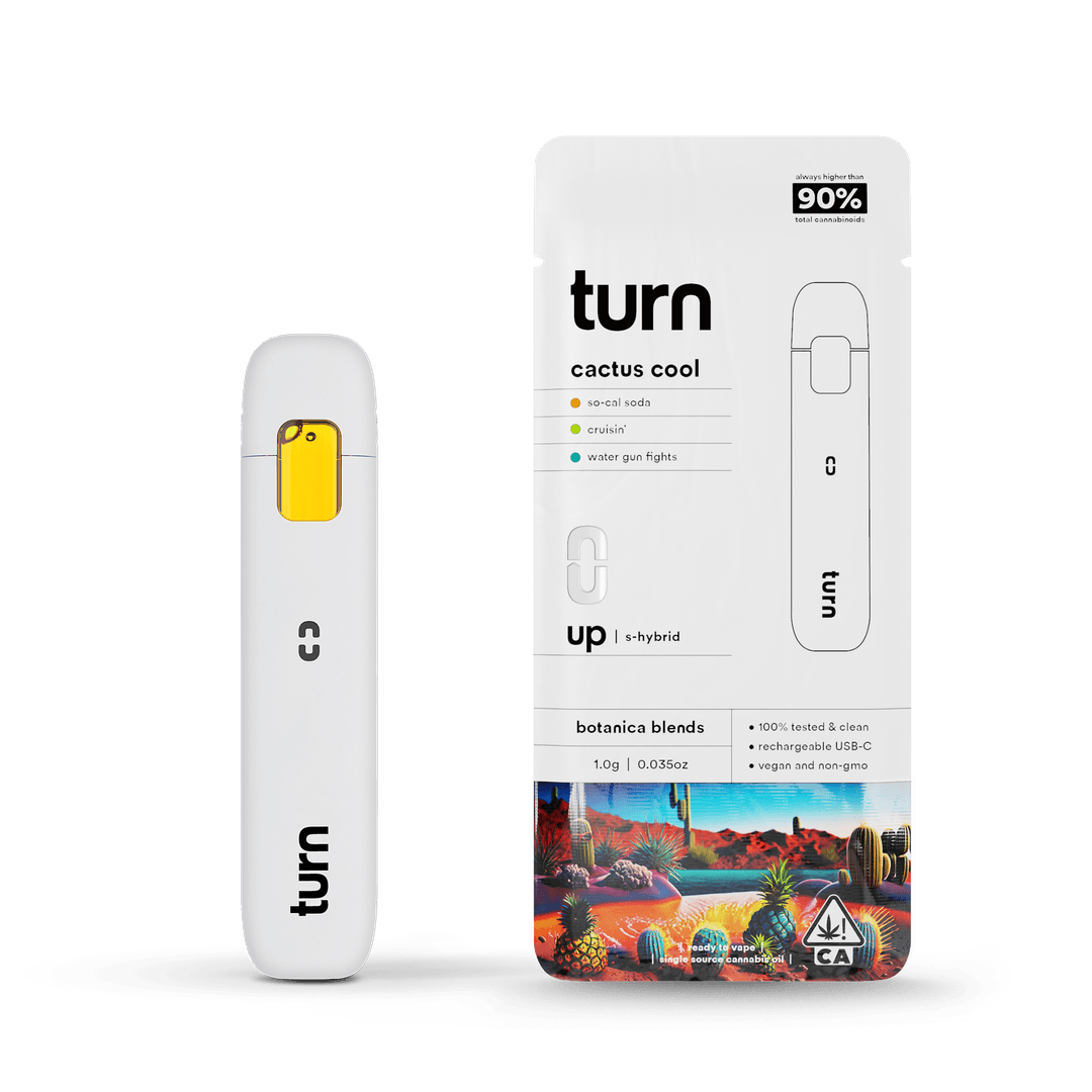 All-in-One-turn-Cactus Cool All-In-One