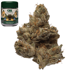 Premium-Cannabiotix-Grand Master-image-1