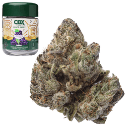 Premium-Cannabiotix-Grape Gasby-image-1