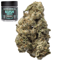 Premium-Claybourne Co.-Kush Mints-image-1