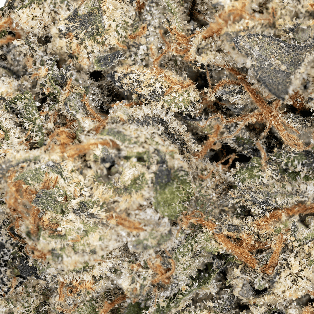 Premium - Connected Cannabis Co. - Nightshade - image-2