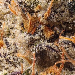 Premium-Connected Cannabis Co.-Silver Spoon-image-2