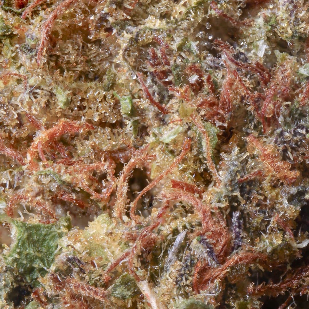 Smaller Buds - Eighth Brother - Old School OG Smalls Quarter Ounce - image-2