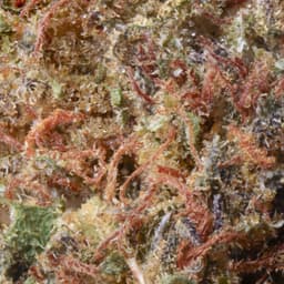 Smaller Buds-Eighth Brother-Old School OG Smalls Quarter Ounce-image-2