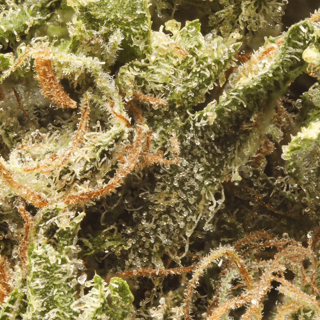 Budget Friendly - Eighth Brother - Wedding Cake Quarter Ounce - image-2