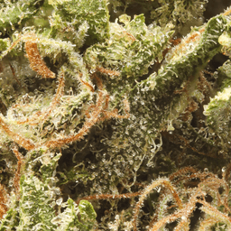 Budget Friendly-Eighth Brother-Wedding Cake Quarter Ounce-image-2