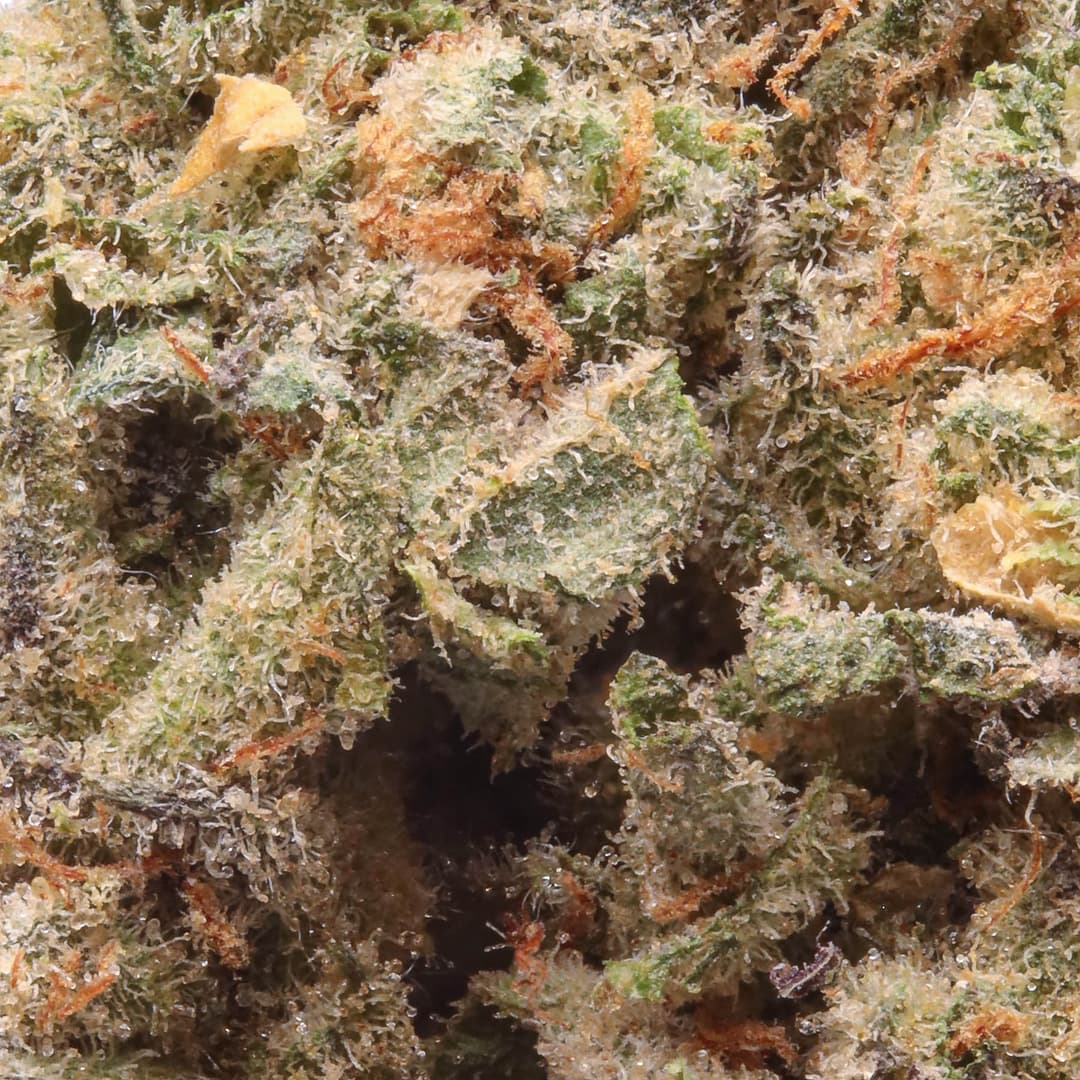Budget Friendly - Field's Family Farmz - Jealous Bananas Half Ounce - image-2