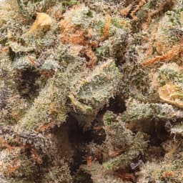Budget Friendly-Field's Family Farmz-Jealous Bananas Half Ounce-image-2
