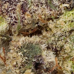 Smaller Buds-Field's Family Farmz-Jelly Mints Smalls-image-2