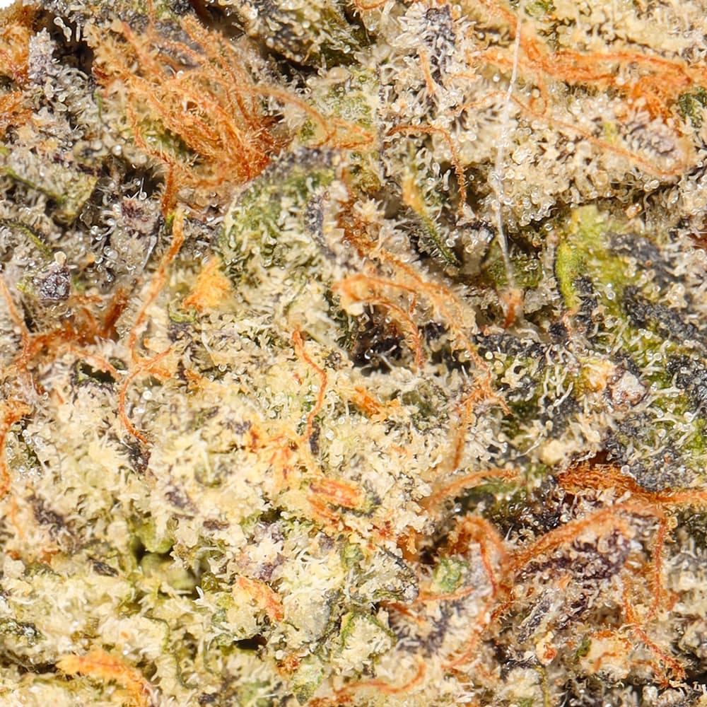 Premium - Field's Family Farmz - Frosteez Half Ounce - image-2