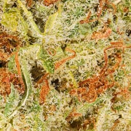 Premium-Field's Family Farmz-Zaburstz Half Ounce-image-2