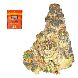 Smaller Buds-Fleetwood Flower Company-Strawberry Shortcake Smalls-image-1