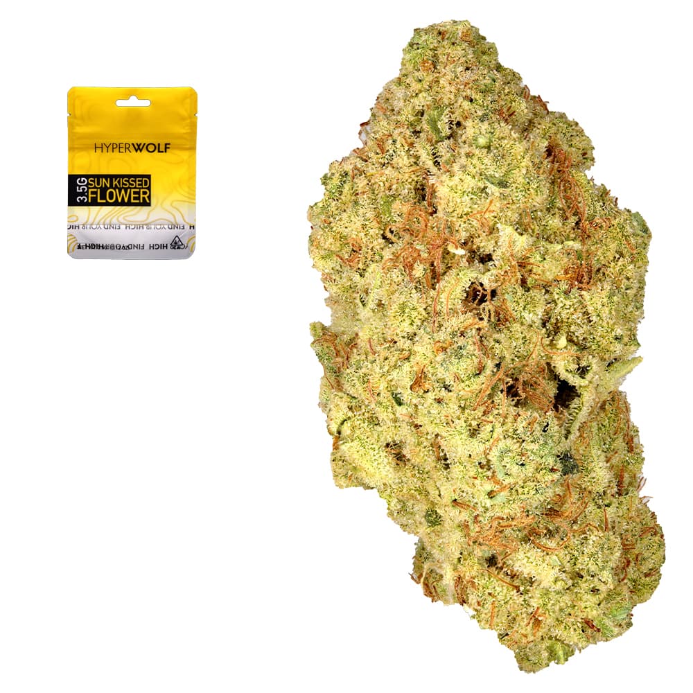 Budget Friendly-Hyperwolf-Banjo