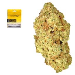 Budget Friendly-Hyperwolf-Banjo-image-1