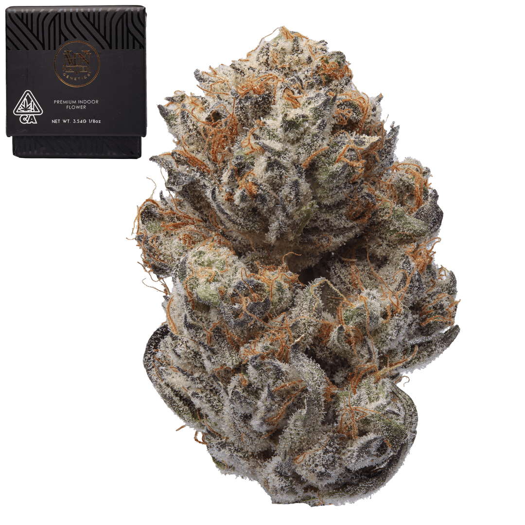 Premium-Maven Genetics-FKAFL