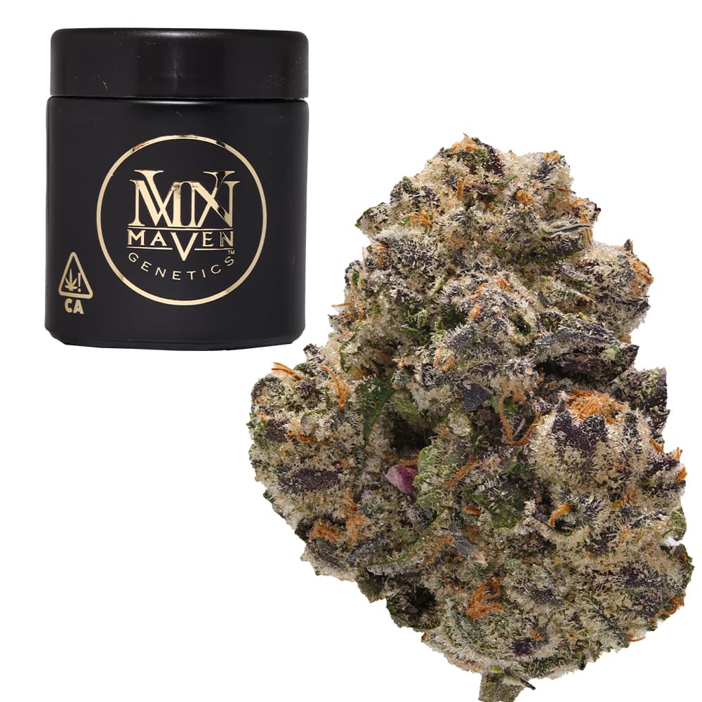 Premium-Maven Genetics-Umami Butter