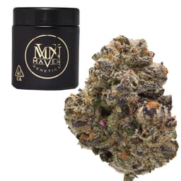 Premium-Maven Genetics-Umami Butter-image-1