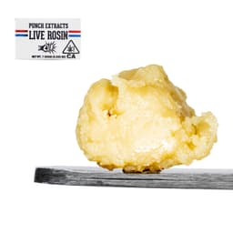 Solventless Rosin-Punch Extracts-Yellow Jelly Cake Live Rosin Badder (Tier 4)-image-1
