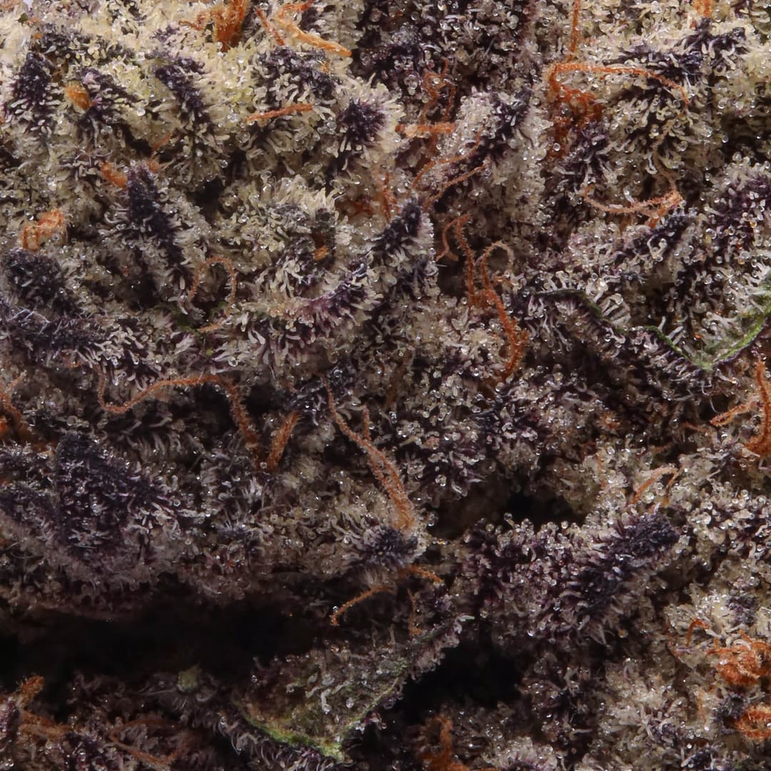 Premium - Smoken Promises - CyberPunch - image-2