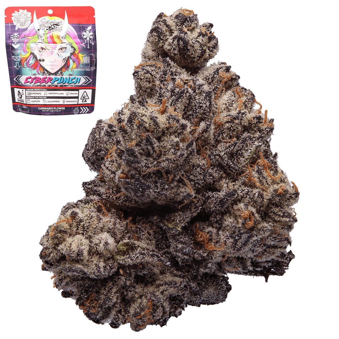 Premium-Smoken Promises-CyberPunch