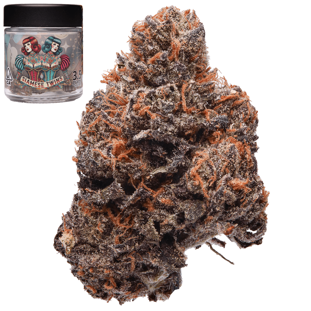 Premium-Stilo Supply-Siamese Twins