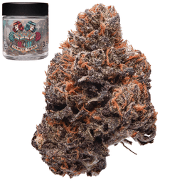 Premium-Stilo Supply-Siamese Twins-image-1