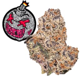 Budget Friendly-Stilo Supply-Glitter Bomb-image-1