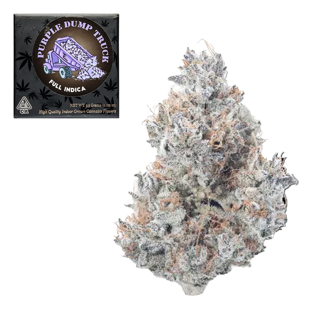 Premium-Team Elite Genetics-Purple Dump Truck